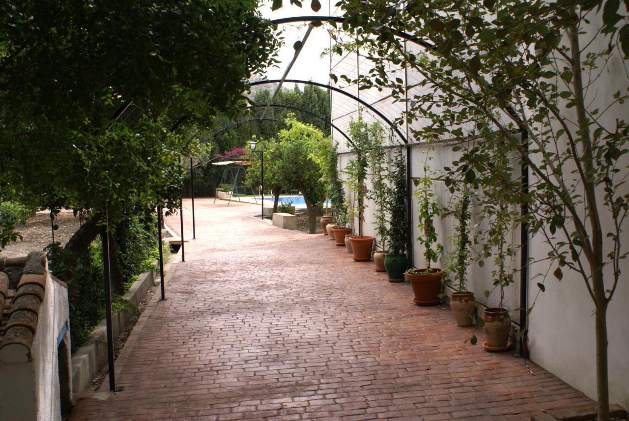 La Canota 2-Floors King Rooms Adults Only Talara Εξωτερικό φωτογραφία